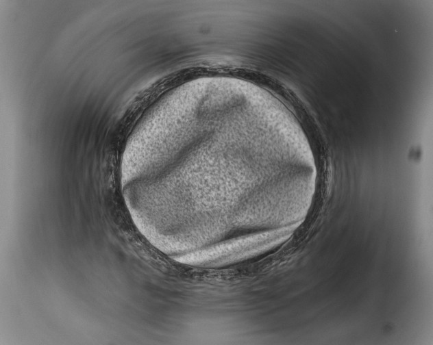 X0000115371016200911241235