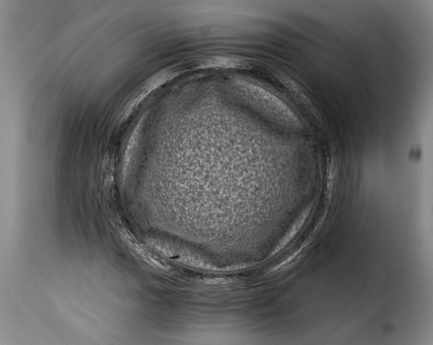X0000115371017200911241235