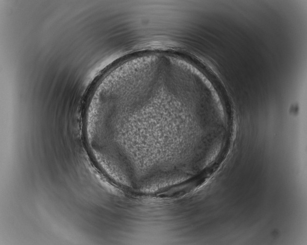 X0000115371018200911241235
