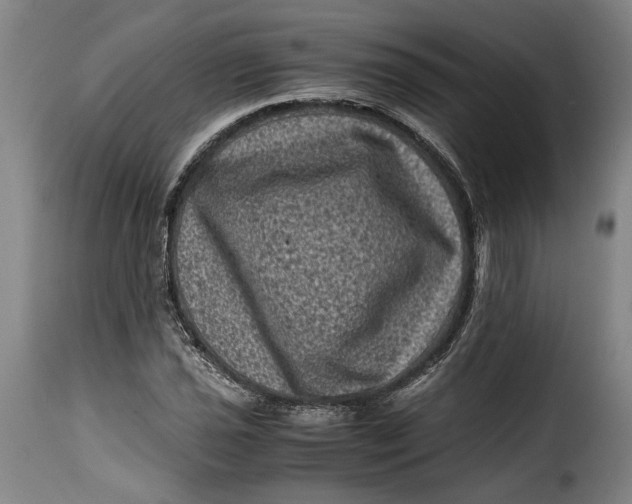 X0000115371021200911241235