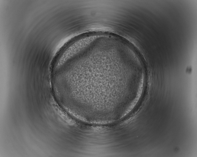 X0000115371022200911241235