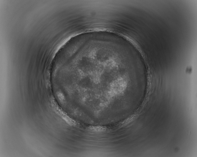 X0000115371023200911241235