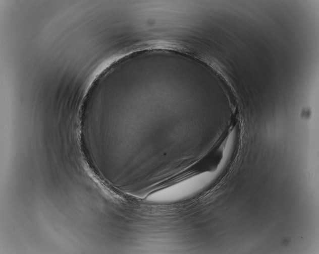 X0000115371024200911241235