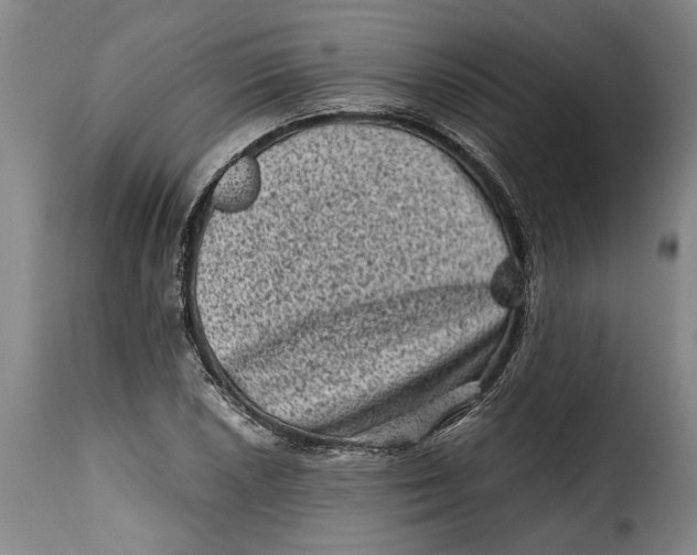 X0000115371026200911241235