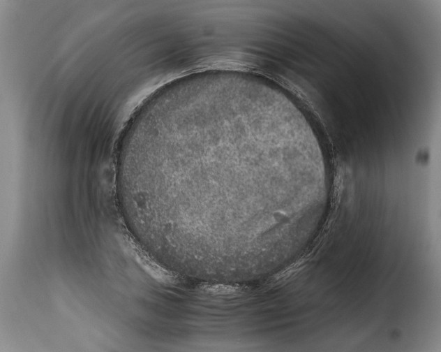 X0000115371027200911241235