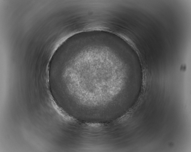 X0000115371031200911241235