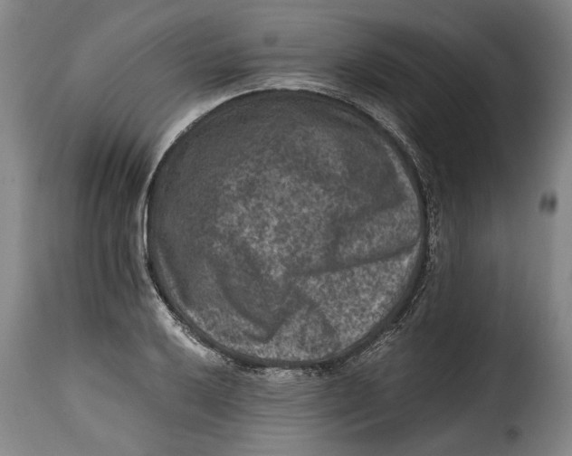 X0000115371032200911241235
