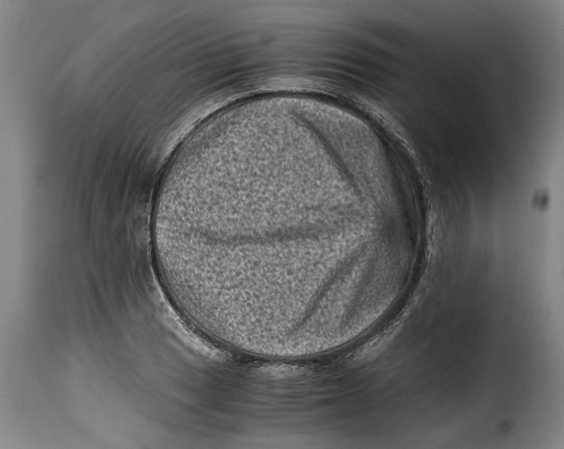 X0000115371033200911241235