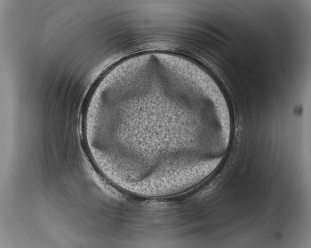 X0000115371034200911241235