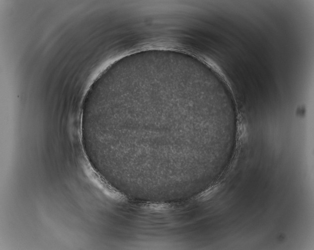 X0000115371035200911241235