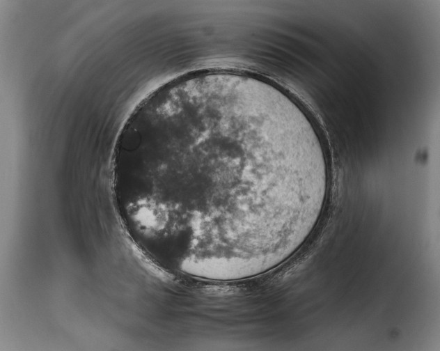 X0000115371037200911241235