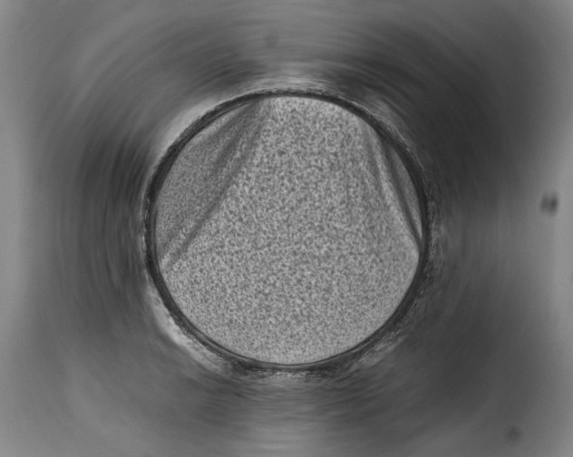 X0000115371038200911241235