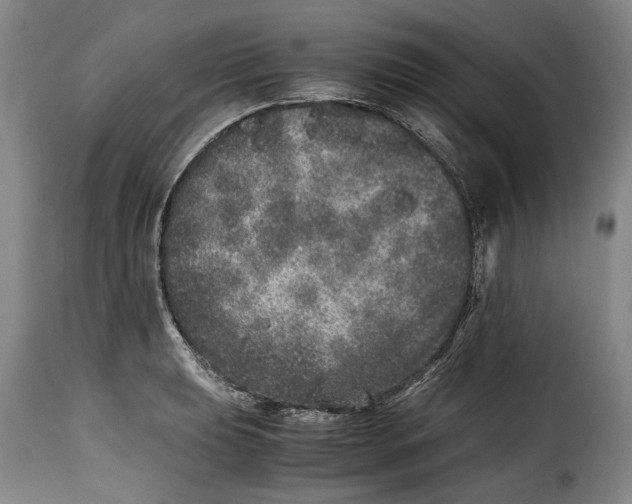X0000115371039200911241235