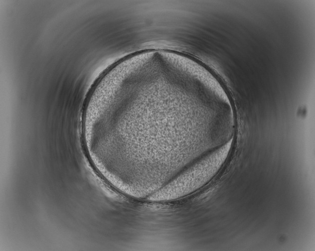 X0000115371040200911241235