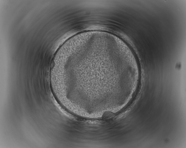 X0000115371041200911241235