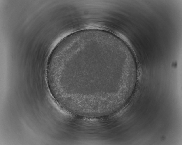 X0000115371043200911241236
