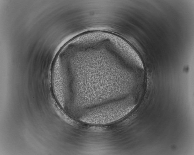 X0000115371044200911241236