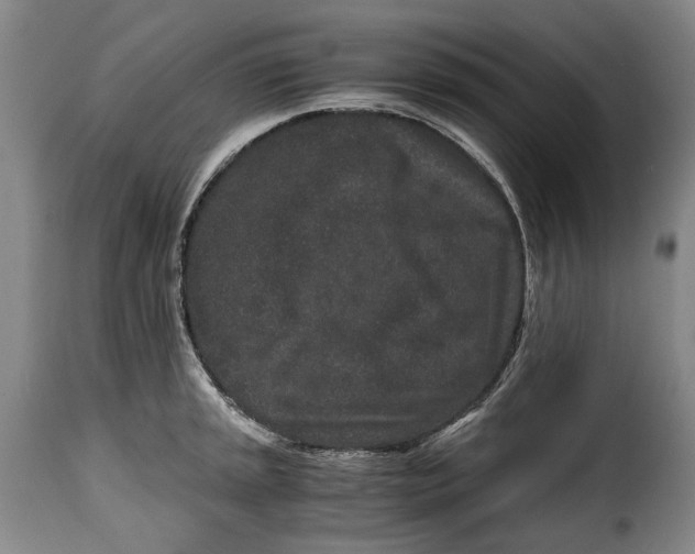 X0000115371045200911241236