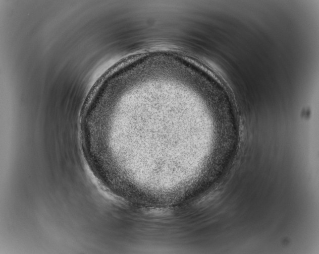 X0000115371047200911241236