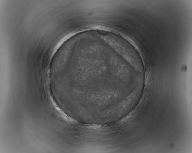 X0000115371048200911241236