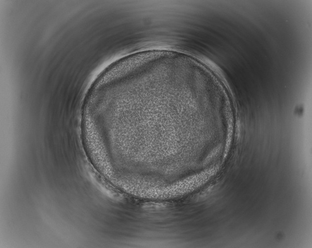 X0000115371051200911241236
