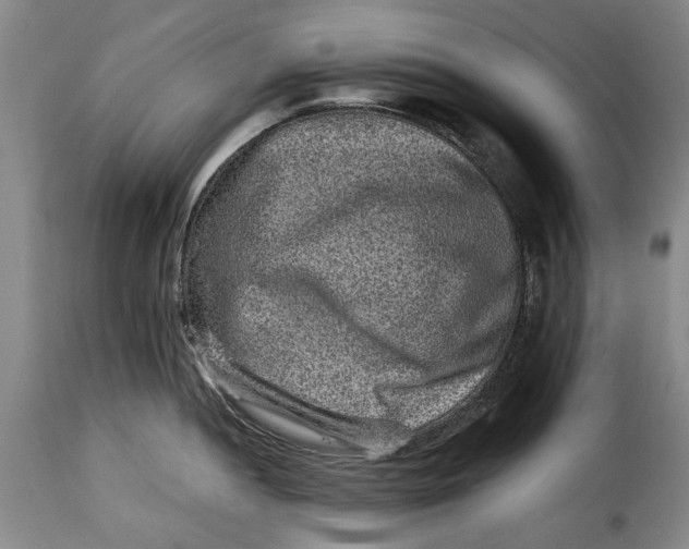 X0000115371052200911241236