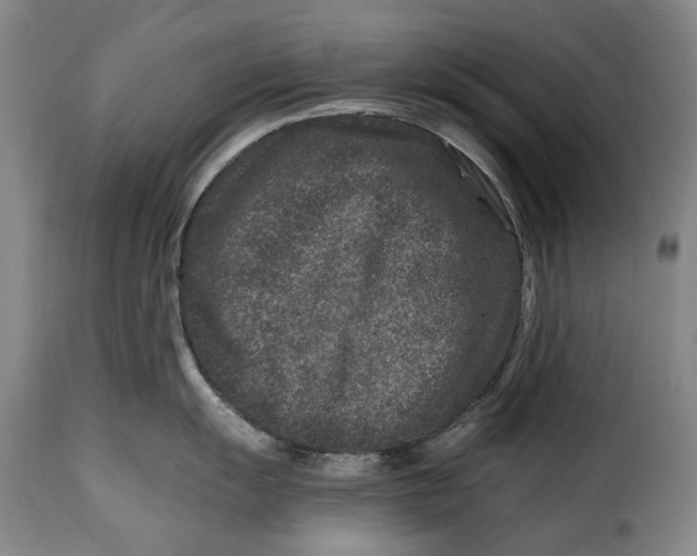 X0000115371055200911241236