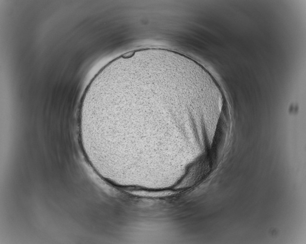 X0000115371056200911241236