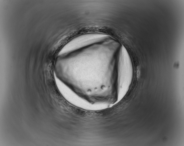 X0000115371059200911241235