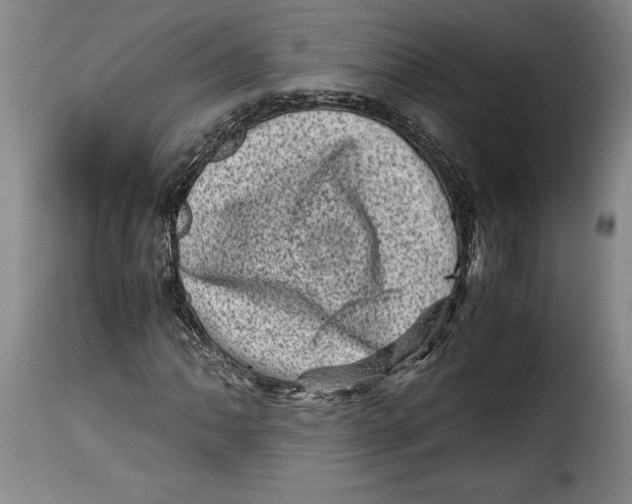 X0000115371062200911241235