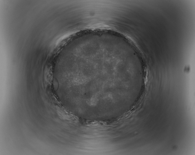 X0000115371063200911241235