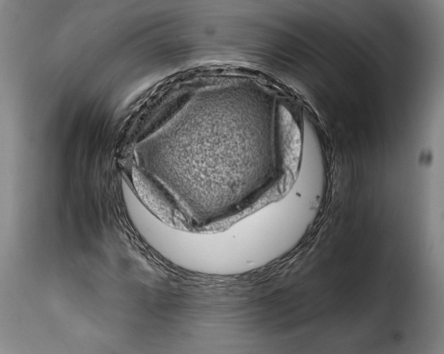 X0000115371064200911241235