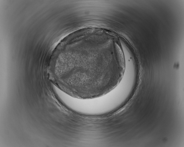 X0000115371065200911241235