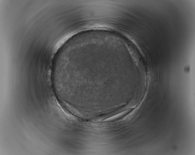 X0000115371066200911241235