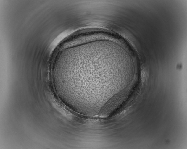 X0000115371069200911241235