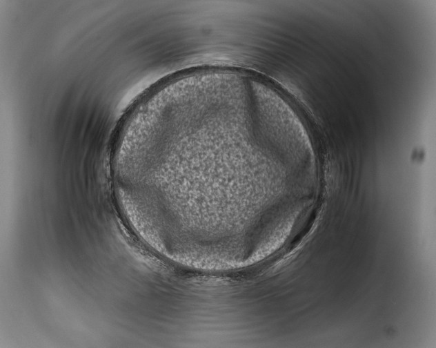 X0000115371070200911241235