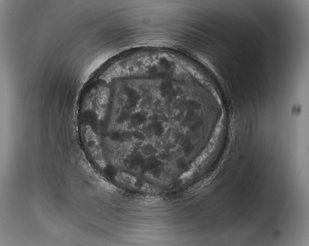 X0000115371071200911241235