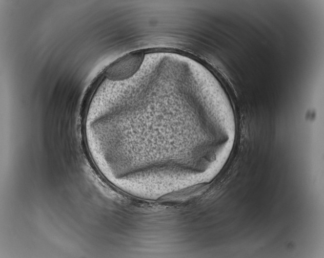 X0000115371072200911241235