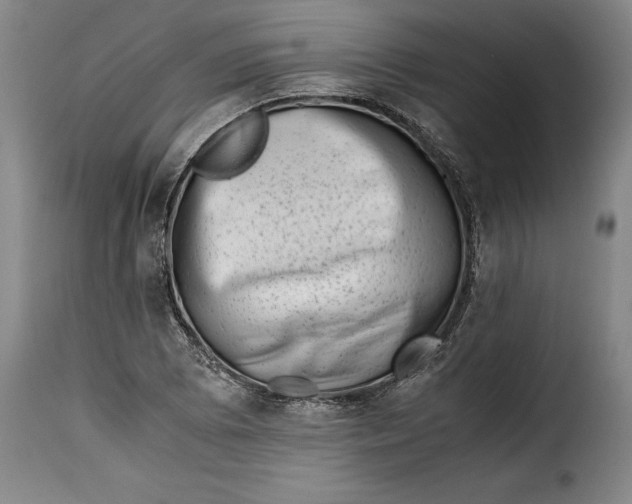 X0000115371073200911241235