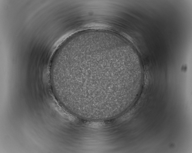 X0000115371074200911241235