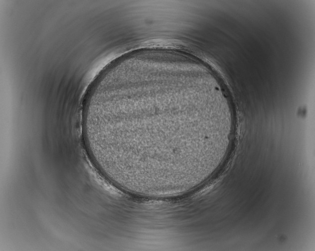 X0000115371075200911241235