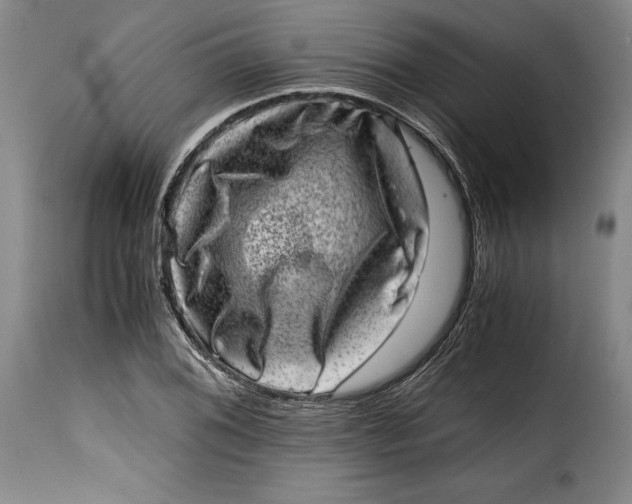 X0000115371076200911241235