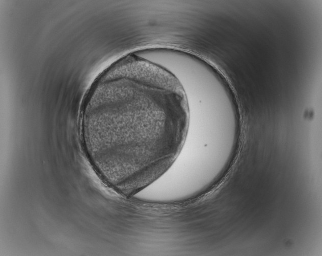 X0000115371077200911241235