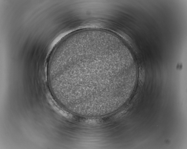 X0000115371078200911241235