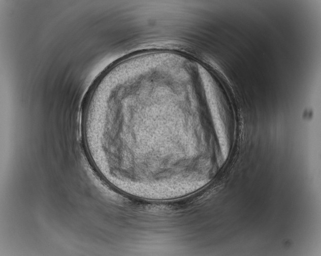 X0000115371079200911241235