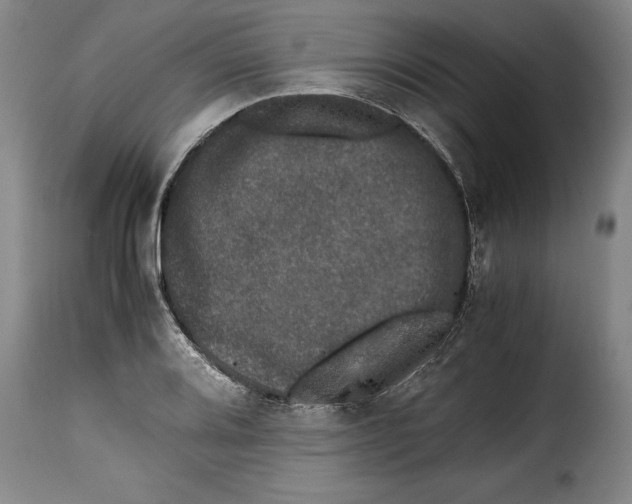 X0000115371080200911241235