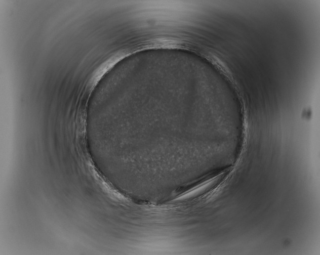 X0000115371081200911241235