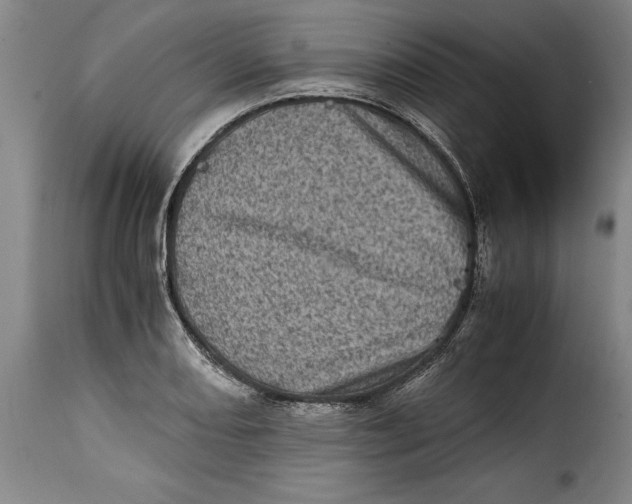 X0000115371082200911241235