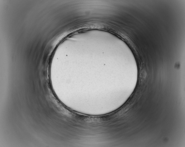 X0000115371083200911241235