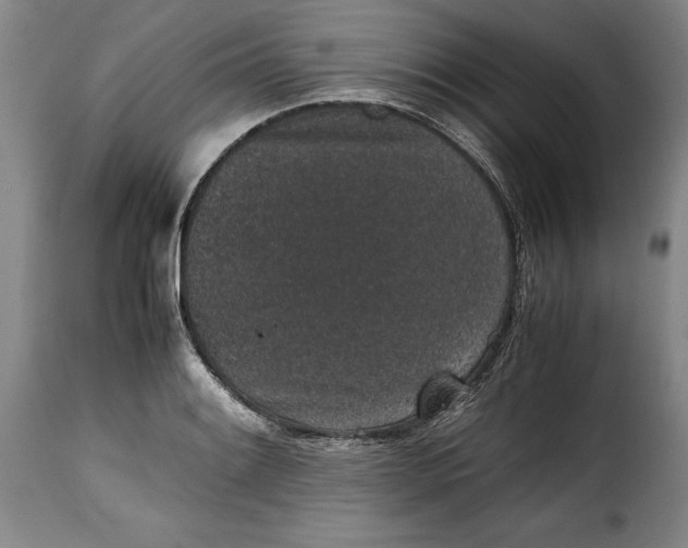 X0000115371084200911241235